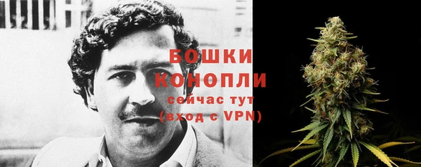 прущая мука Богородицк