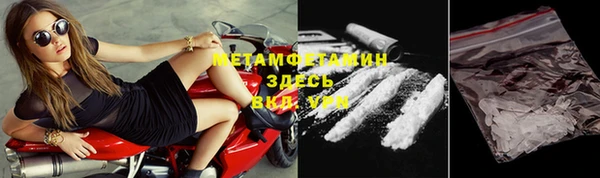 метадон Богданович