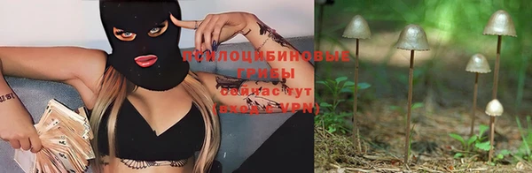 прущая мука Богородицк