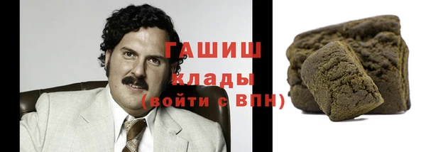 метадон Богданович