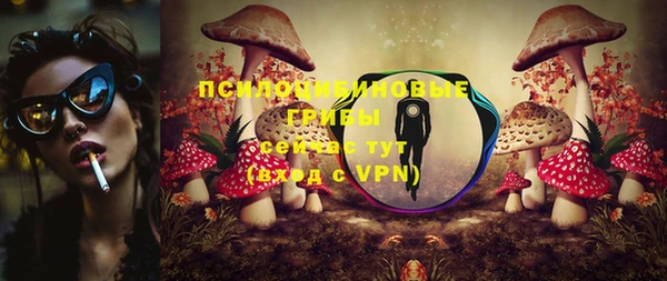 прущая мука Богородицк