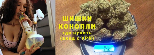 метадон Богданович