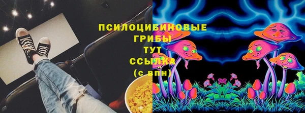 метадон Богданович