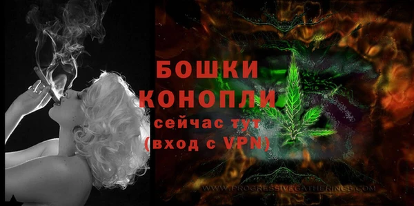 метадон Богданович