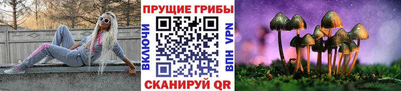 купить наркоту Сретенск блэк спрут зеркало Псилоцибиновые грибы ЛСД